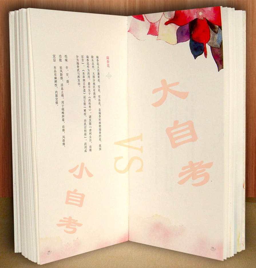 大自考和小自考的区别